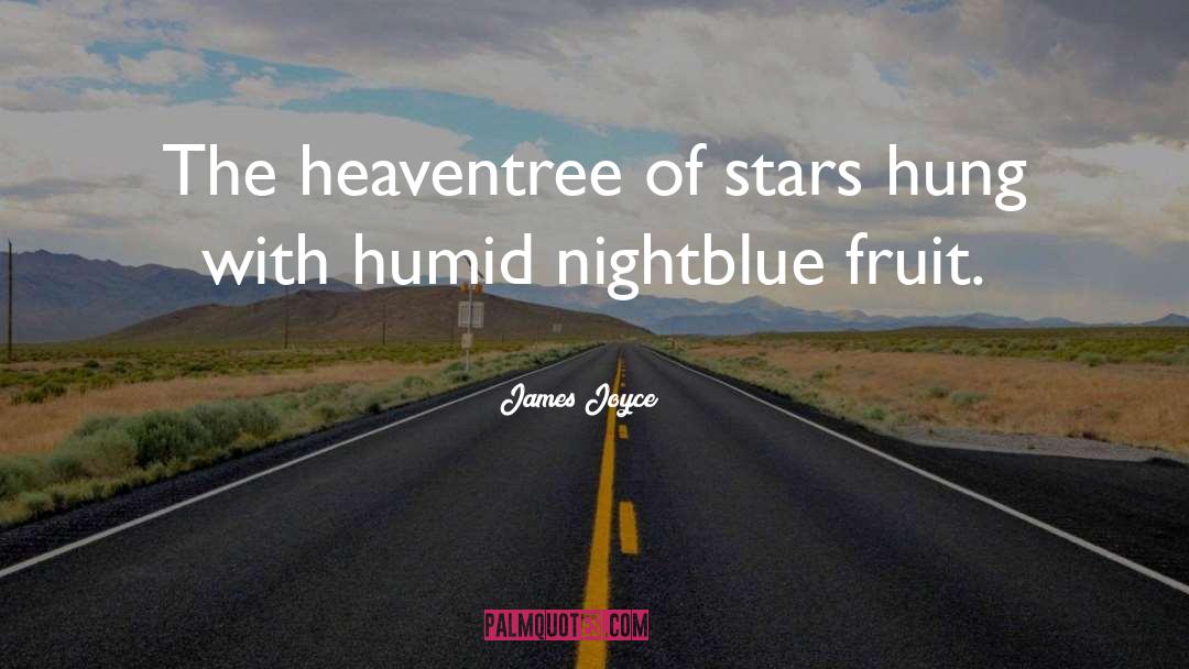 James Joyce Quotes: The heaventree of stars hung