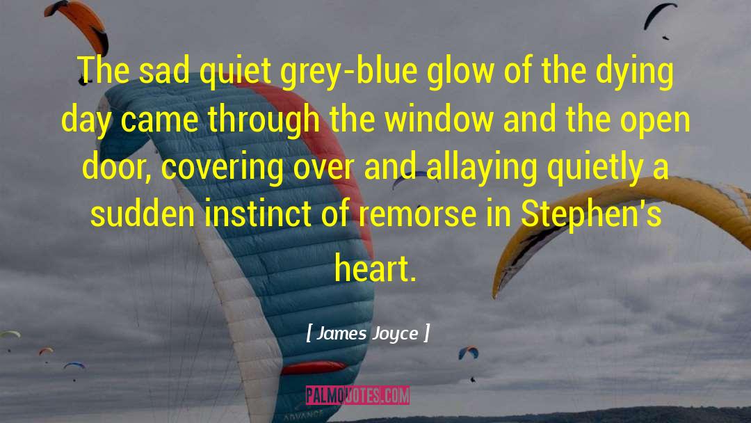 James Joyce Quotes: The sad quiet grey-blue glow