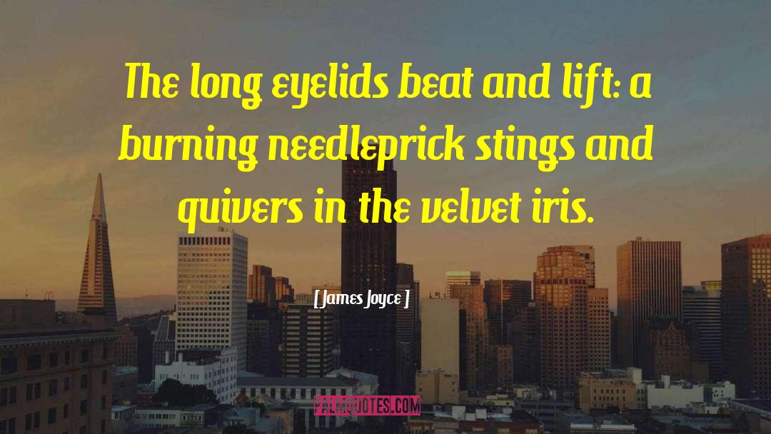 James Joyce Quotes: The long eyelids beat and