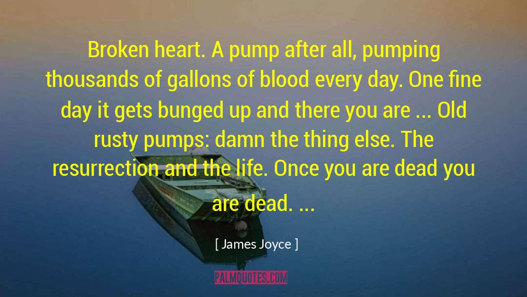 James Joyce Quotes: Broken heart. A pump after