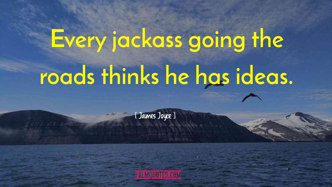 James Joyce Quotes: Every jackass going the roads