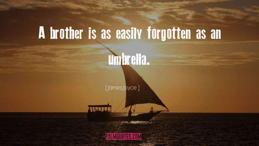 James Joyce Quotes: A brother is as easily