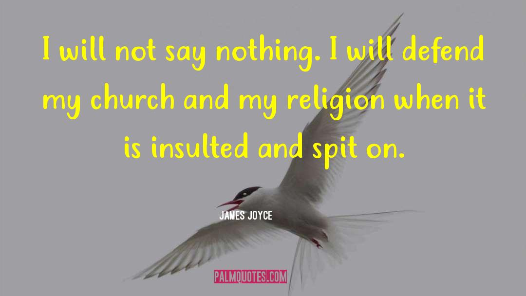 James Joyce Quotes: I will not say nothing.