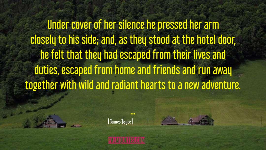 James Joyce Quotes: Under cover of her silence