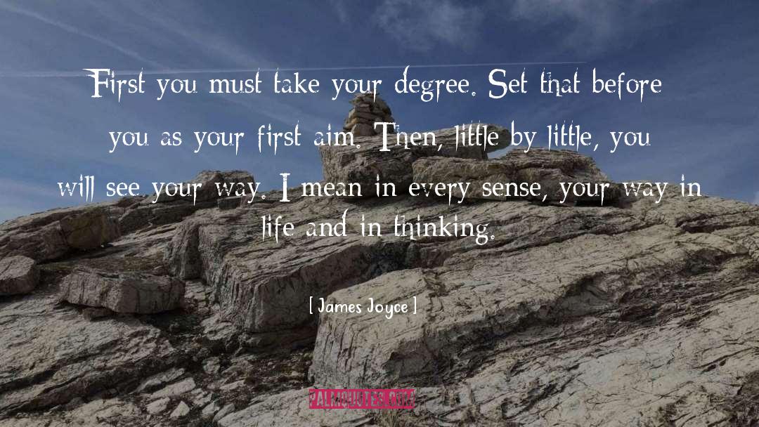 James Joyce Quotes: First you must take your