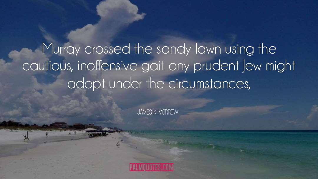 James K. Morrow Quotes: Murray crossed the sandy lawn