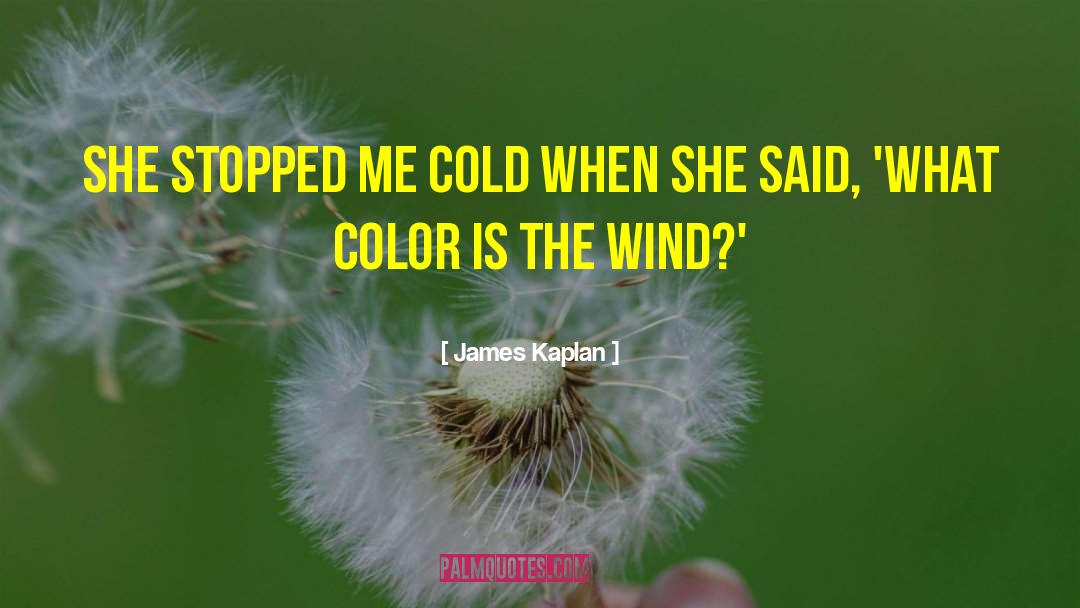 James Kaplan Quotes: She stopped me cold when