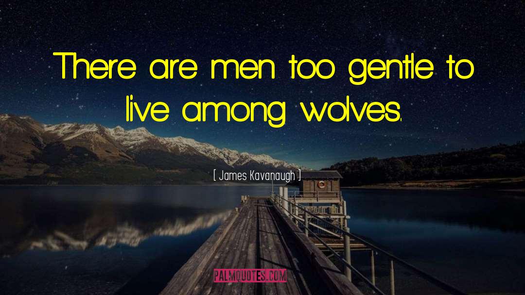 James Kavanaugh Quotes: There are men too gentle