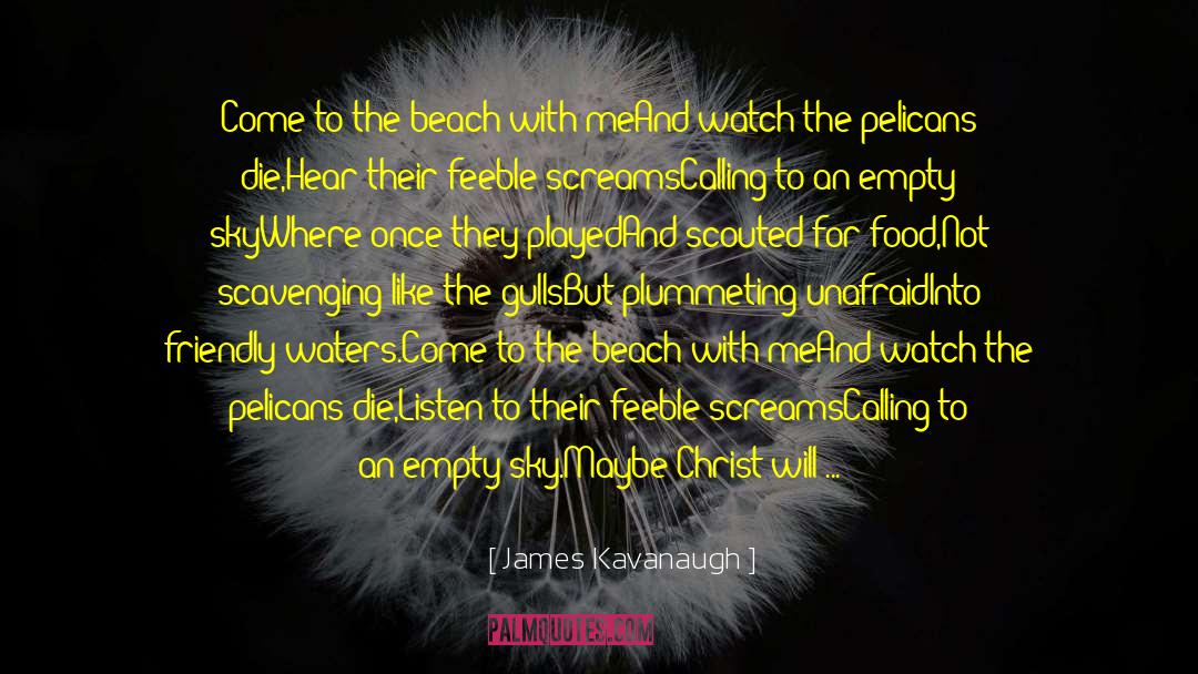 James Kavanaugh Quotes: Come to the beach with