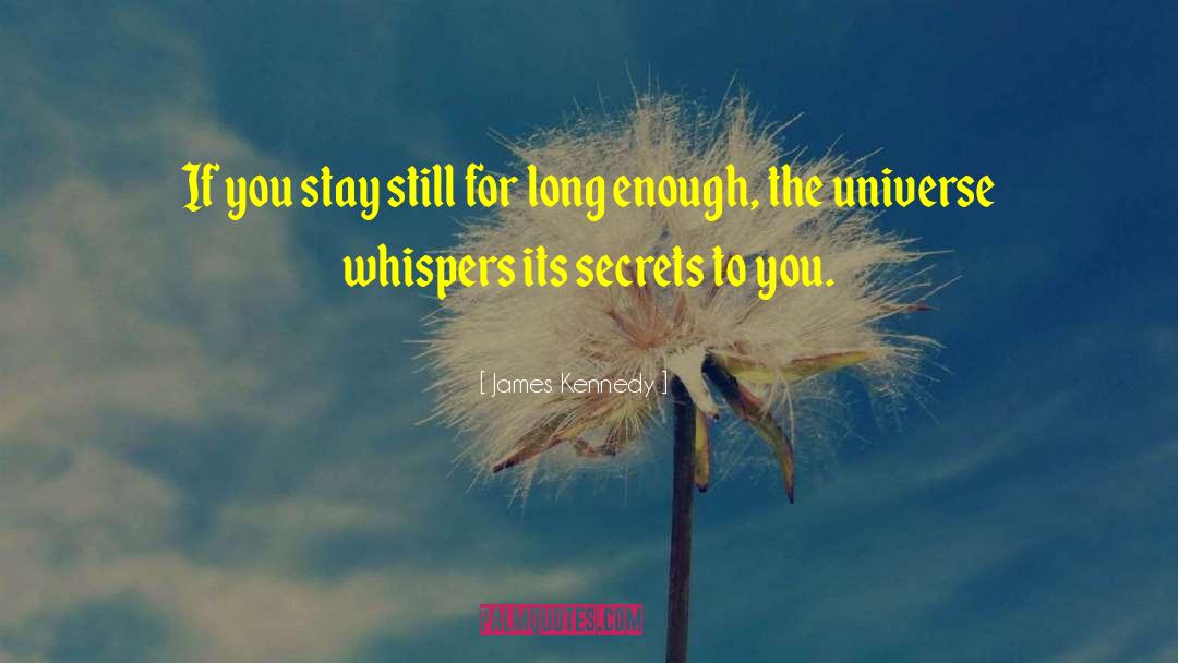 James Kennedy Quotes: If you stay still for
