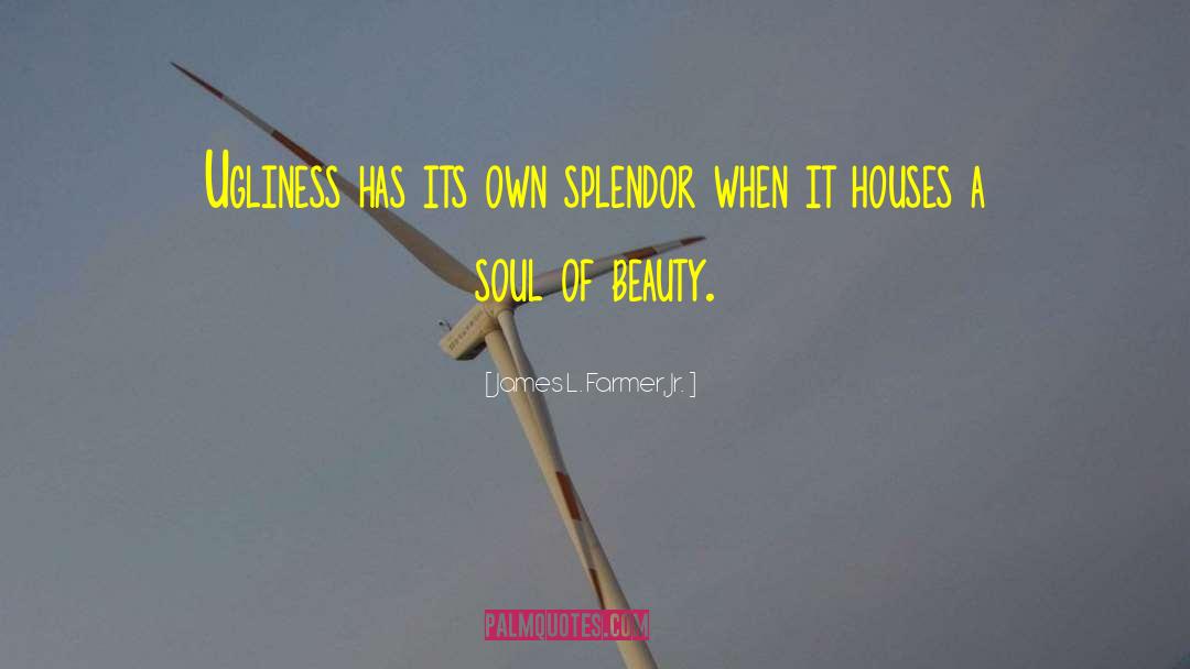 James L. Farmer, Jr. Quotes: Ugliness has its own splendor