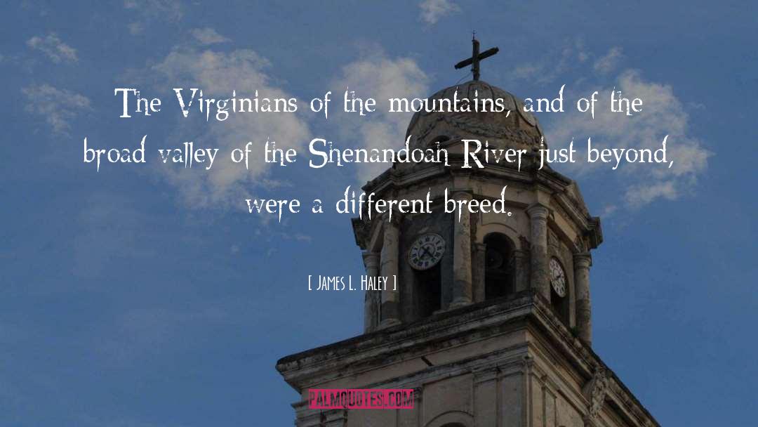 James L. Haley Quotes: The Virginians of the mountains,