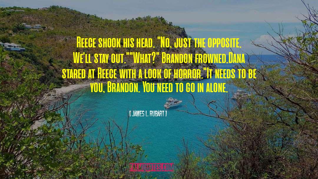 James L. Rubart Quotes: Reece shook his head. 