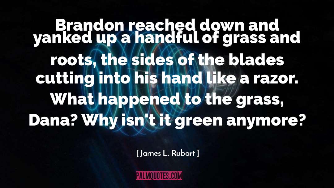 James L. Rubart Quotes: Brandon reached down and yanked