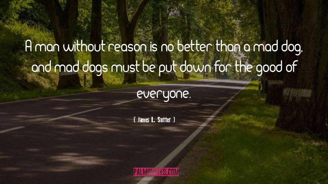 James L. Sutter Quotes: A man without reason is