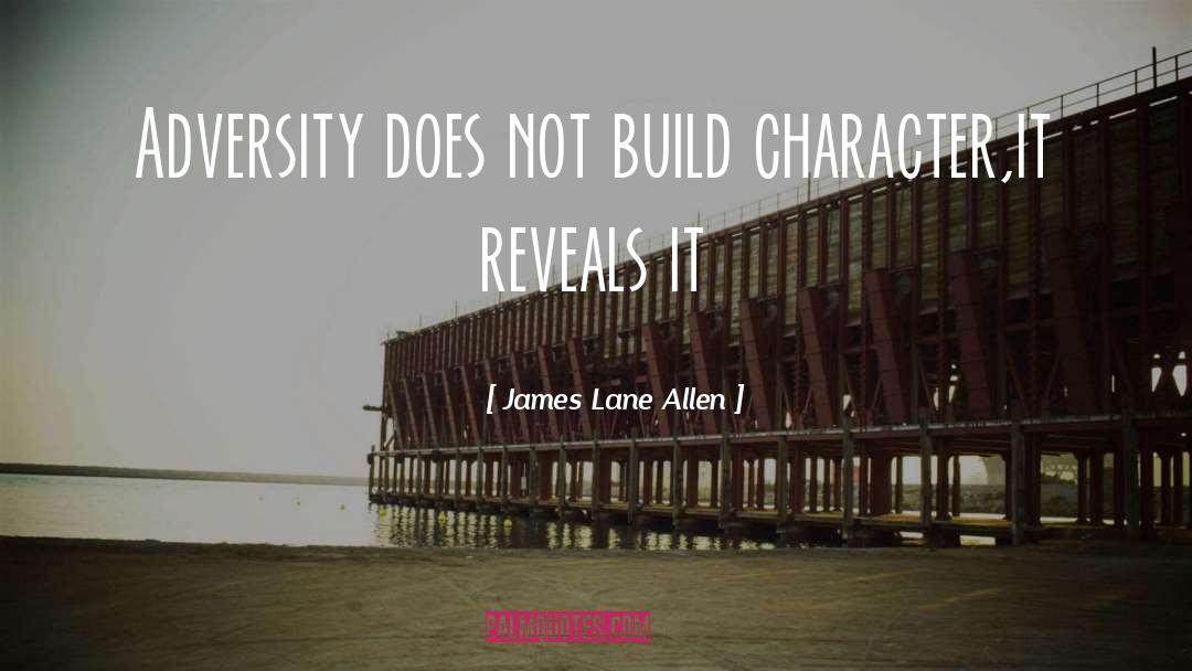James Lane Allen Quotes: Adversity does not build character,it