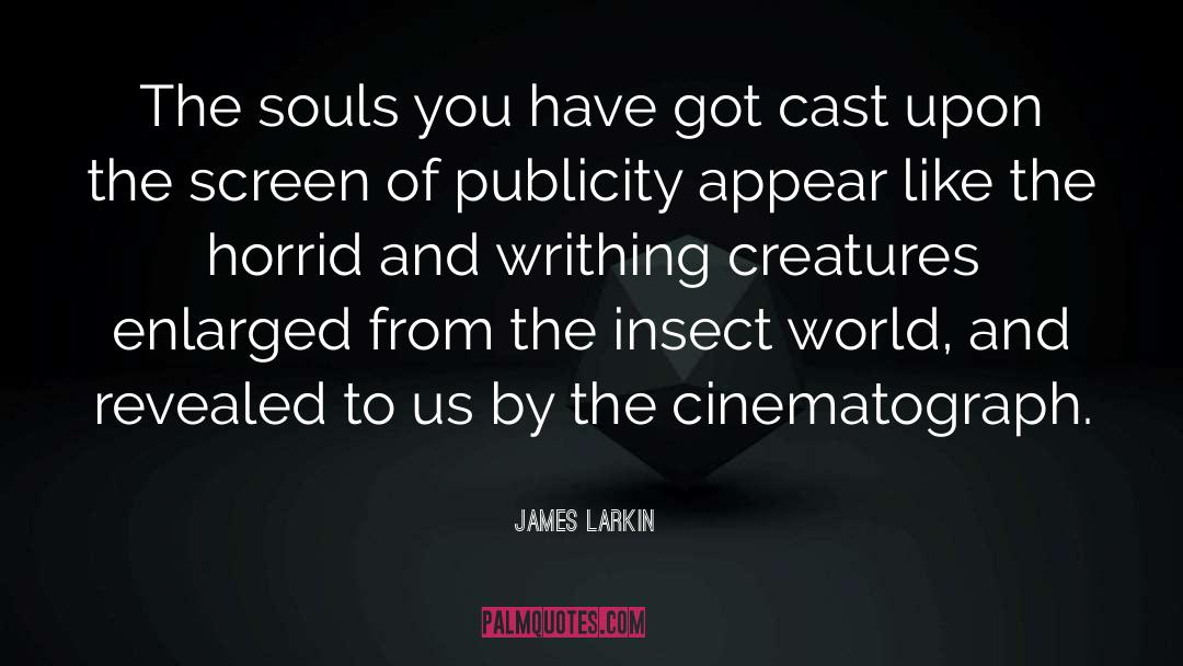 James Larkin Quotes: The souls you have got