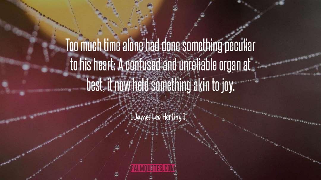 James Leo Herlihy Quotes: Too much time alone had