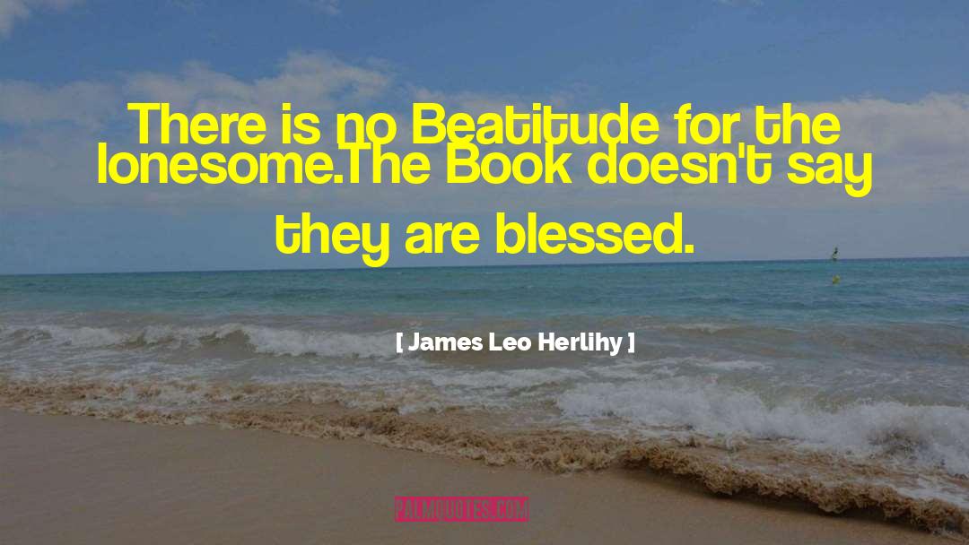 James Leo Herlihy Quotes: There is no Beatitude for