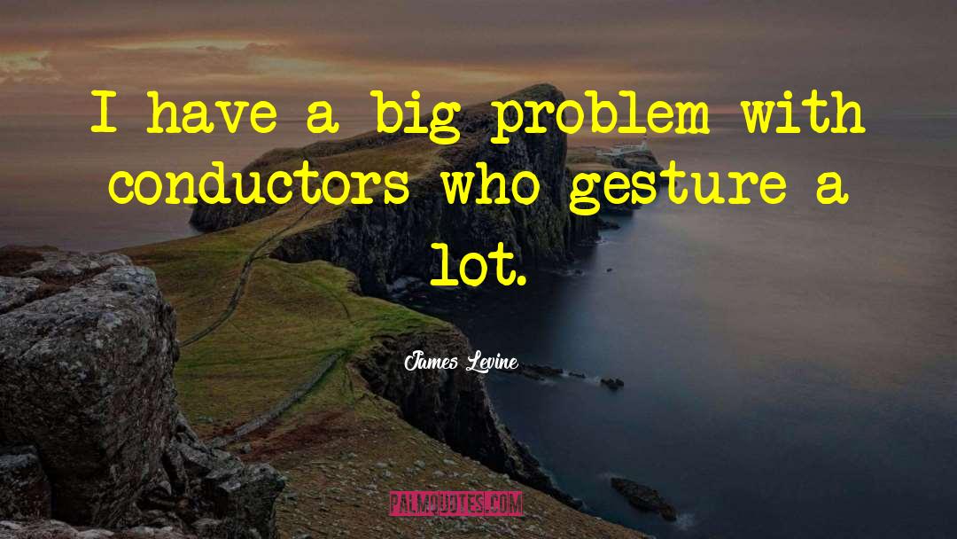 James Levine Quotes: I have a big problem