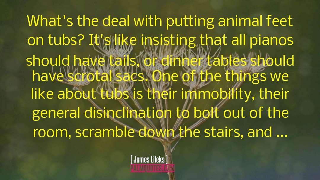 James Lileks Quotes: What's the deal with putting