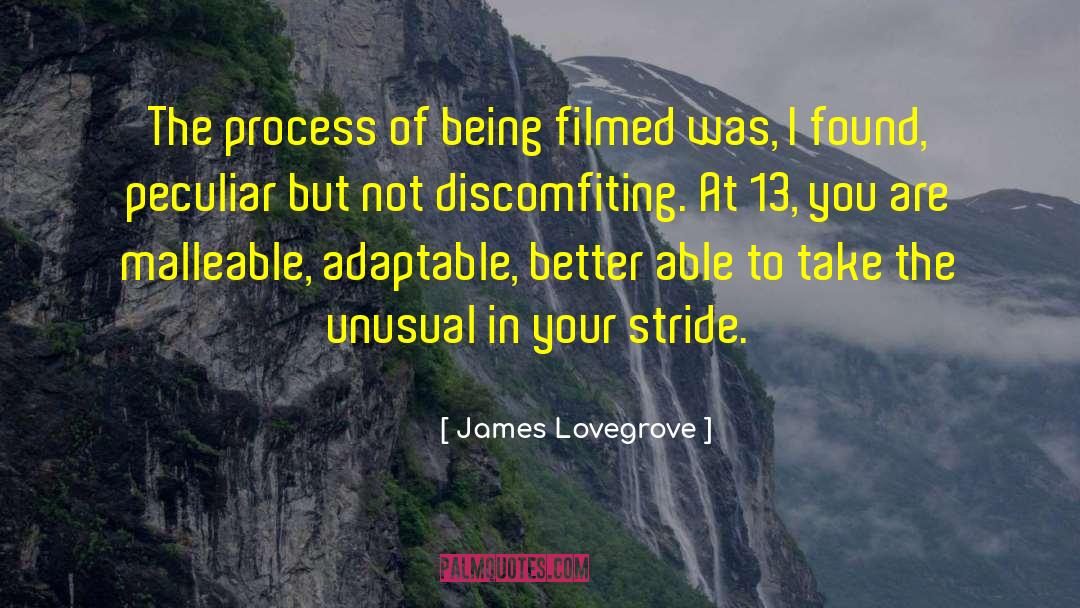 James Lovegrove Quotes: The process of being filmed