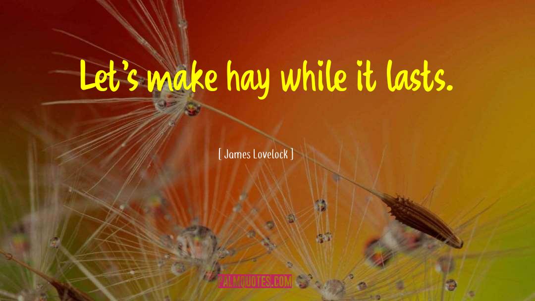 James Lovelock Quotes: Let's make hay while it
