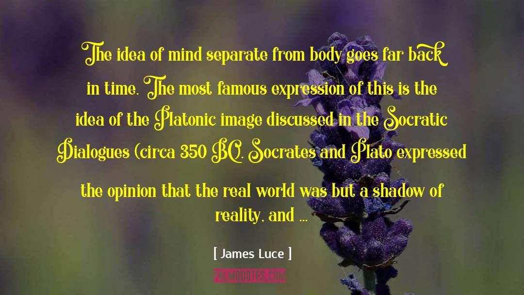 James Luce Quotes: The idea of mind separate