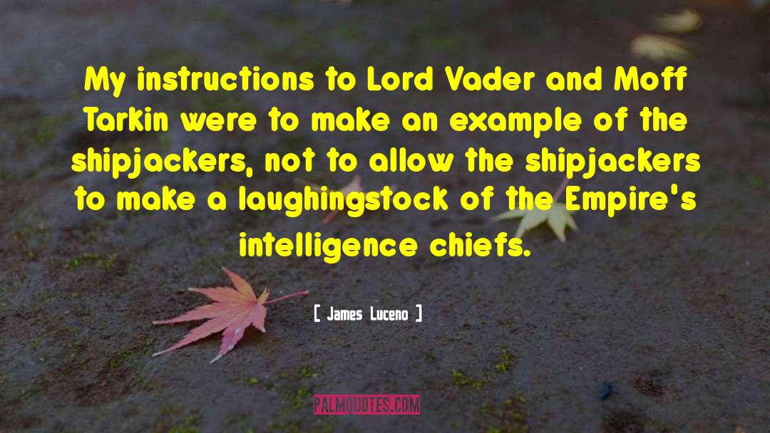 James Luceno Quotes: My instructions to Lord Vader