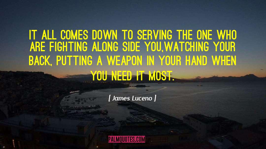 James Luceno Quotes: It all comes down to