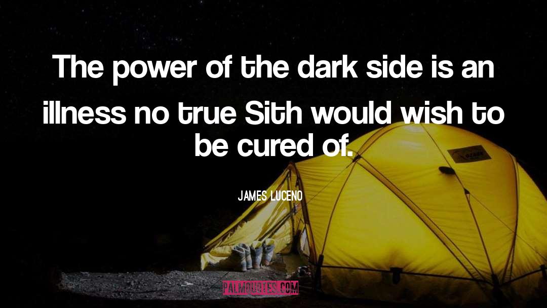 James Luceno Quotes: The power of the dark
