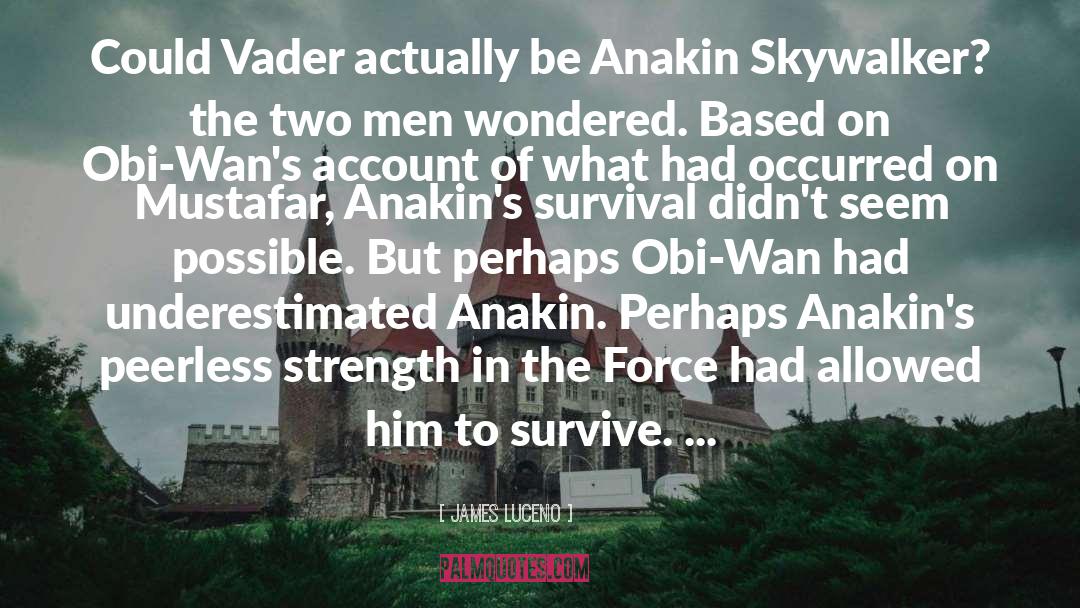James Luceno Quotes: Could Vader actually be Anakin