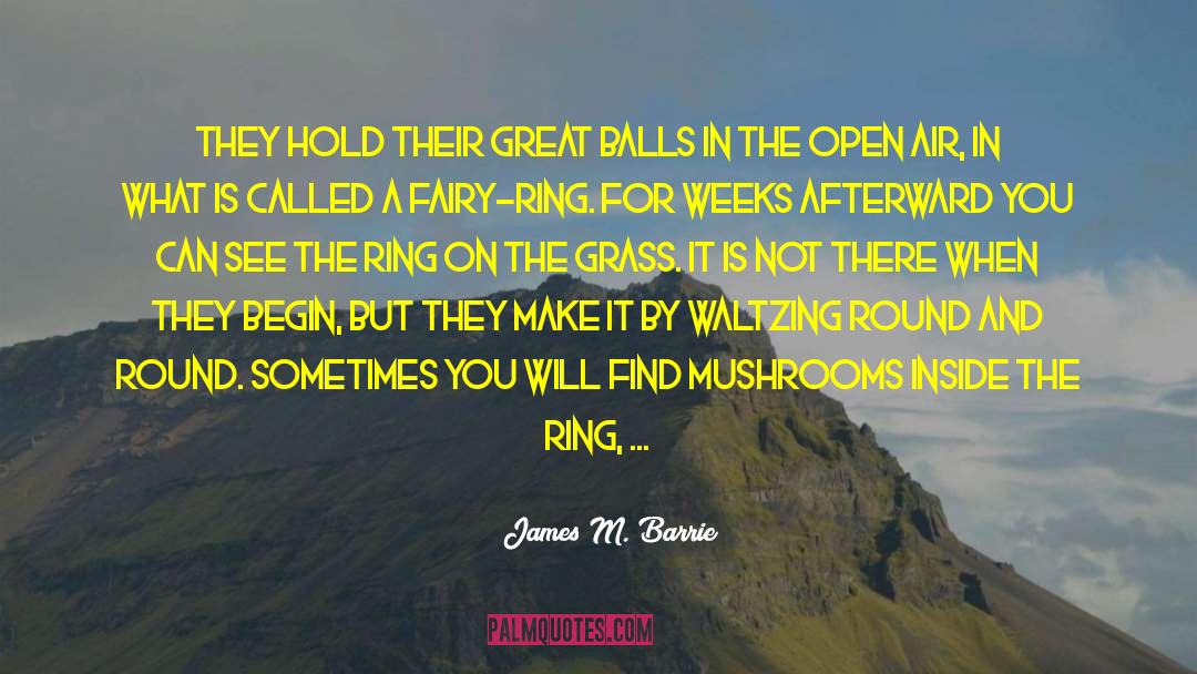 James M. Barrie Quotes: They hold their great balls