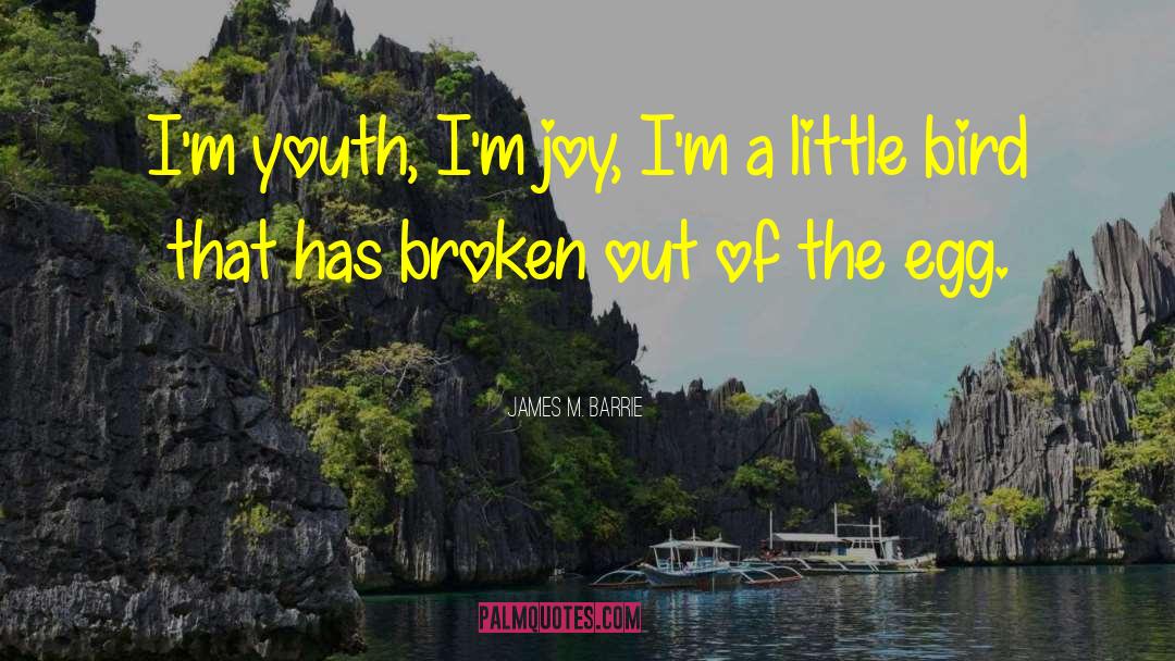 James M. Barrie Quotes: I'm youth, I'm joy, I'm