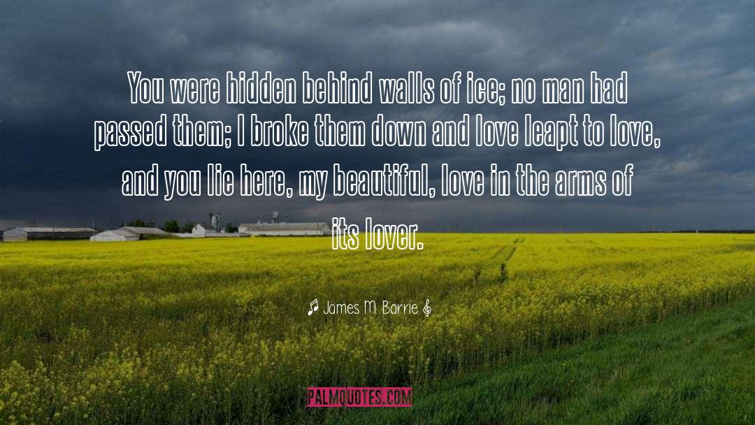 James M. Barrie Quotes: You were hidden behind walls