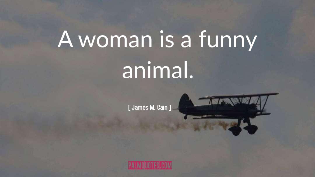 James M. Cain Quotes: A woman is a funny