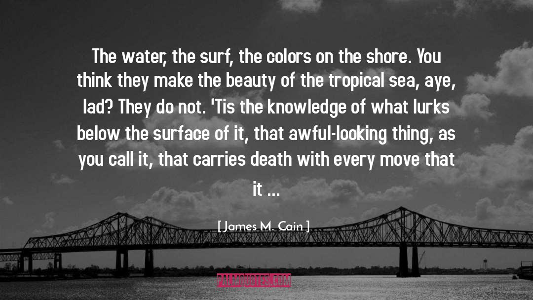 James M. Cain Quotes: The water, the surf, the