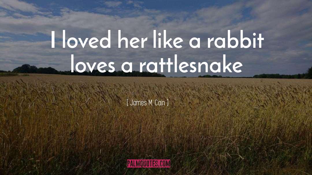 James M. Cain Quotes: I loved her like a