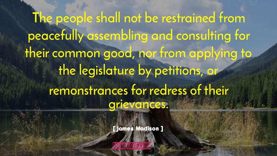 James Madison Quotes: The people shall not be