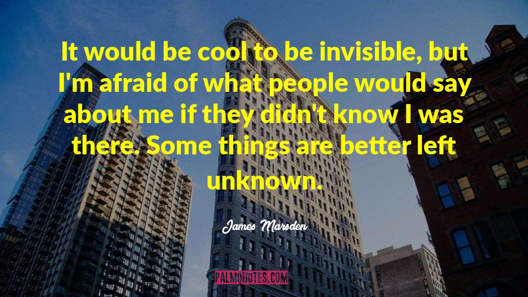 James Marsden Quotes: It would be cool to