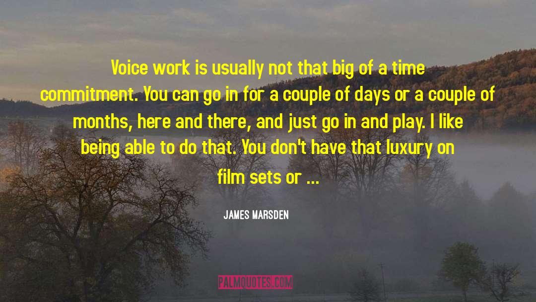 James Marsden Quotes: Voice work is usually not