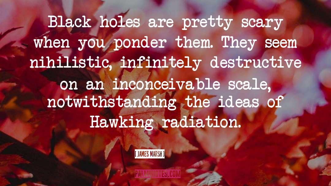 James Marsh Quotes: Black holes are pretty scary