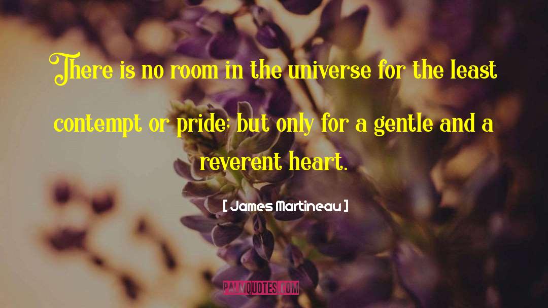 James Martineau Quotes: There is no room in