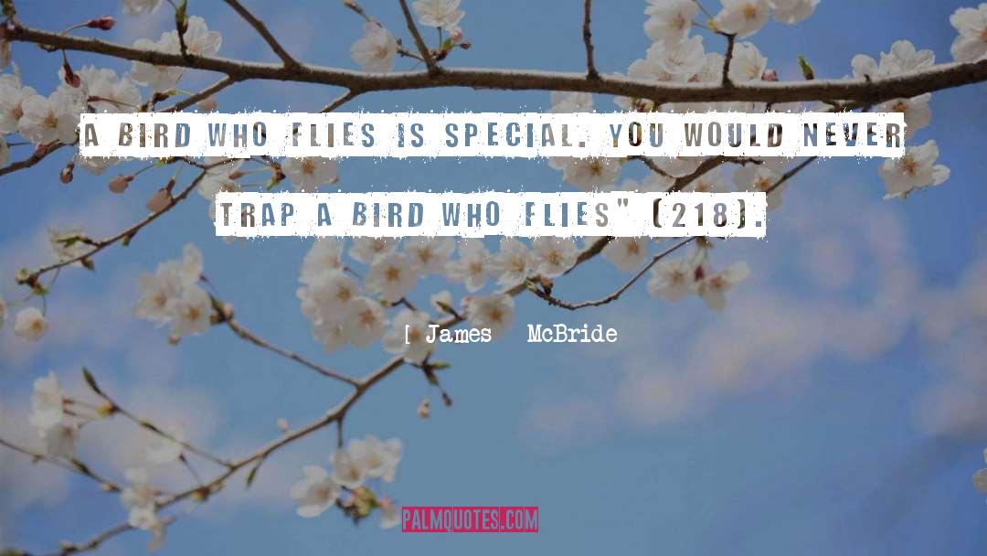 James McBride Quotes: A bird who flies is