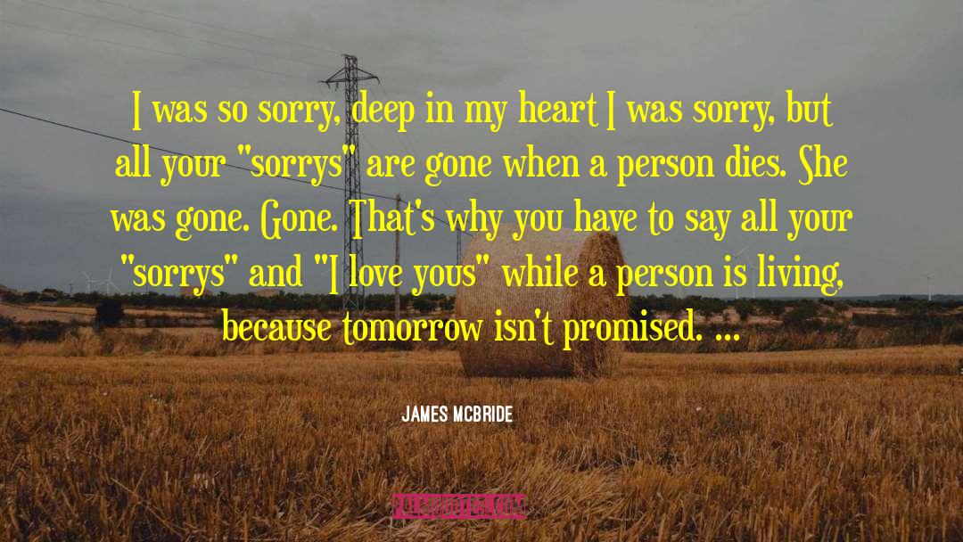 James McBride Quotes: I was so sorry, deep