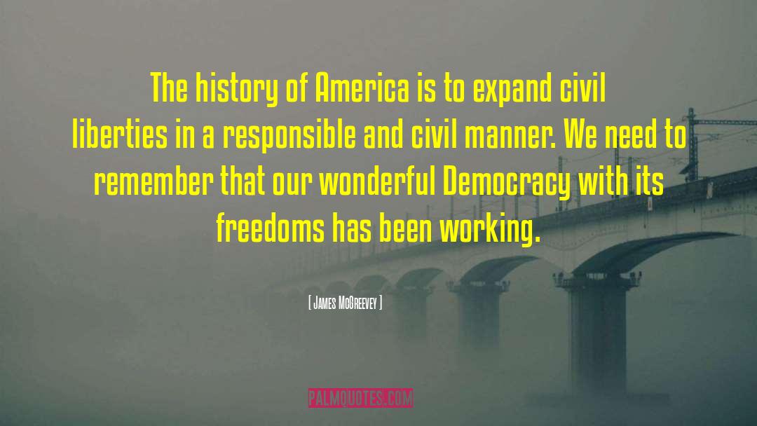 James McGreevey Quotes: The history of America is