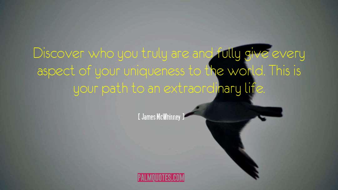 James McWhinney Quotes: Discover who you truly are