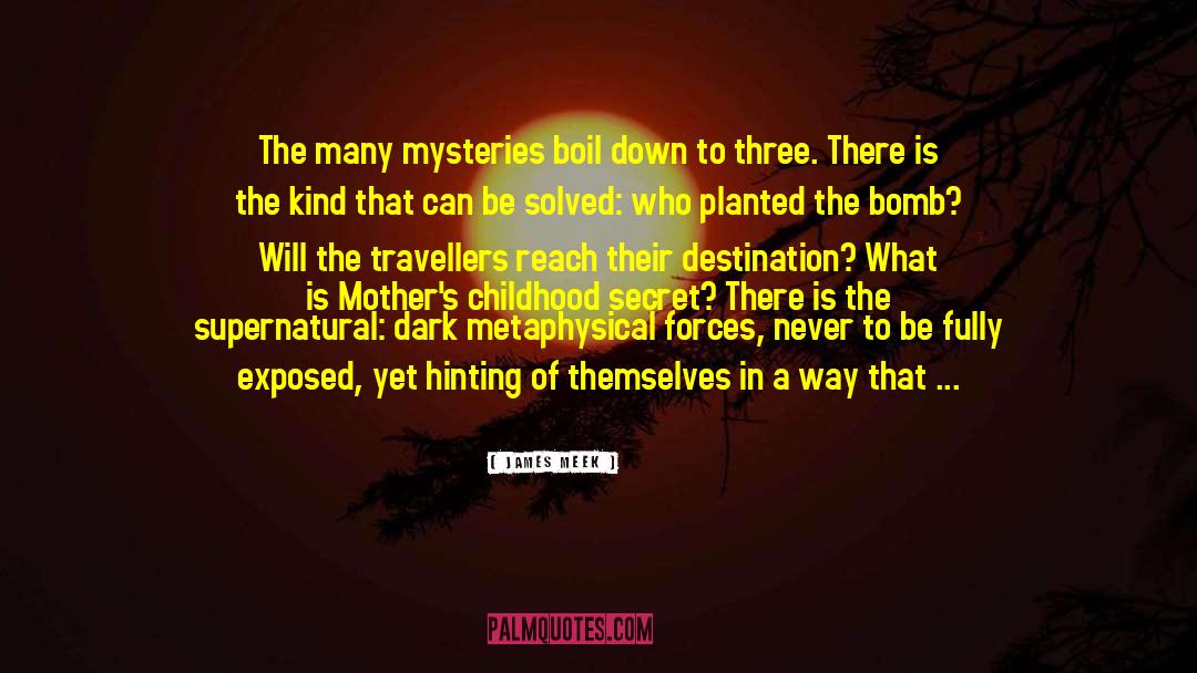 James Meek Quotes: The many mysteries boil down