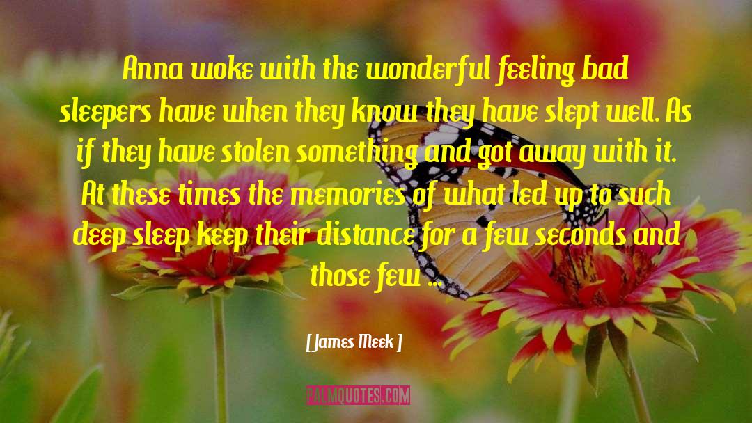 James Meek Quotes: Anna woke with the wonderful