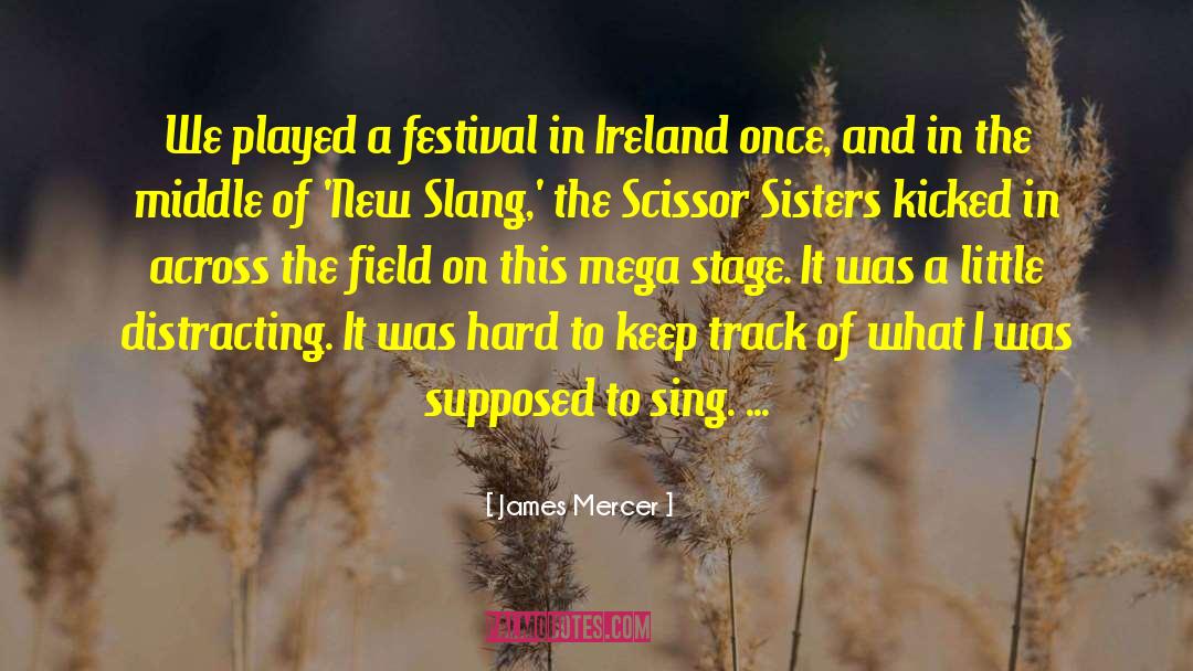 James Mercer Quotes: We played a festival in